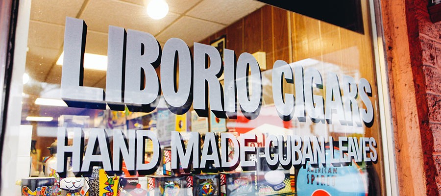 surfside liborio