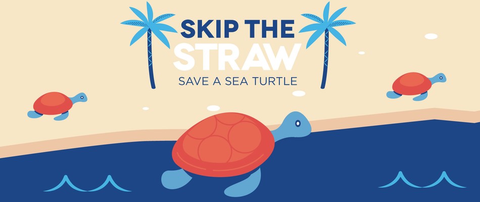 Surfside Straw Ban